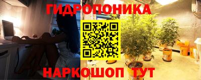 синтетический гашиш Бийск