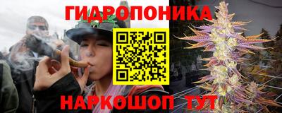 молекула духа Берёзовский