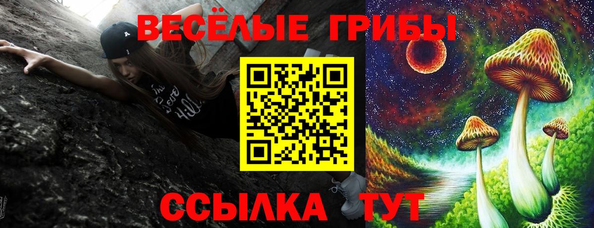 Галлюциногенные грибы Psilocybe  Вход с VPN  Казань 